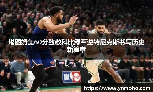 中欧体育网址