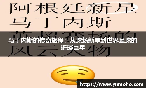 中欧体育