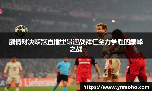 中欧体育网址
