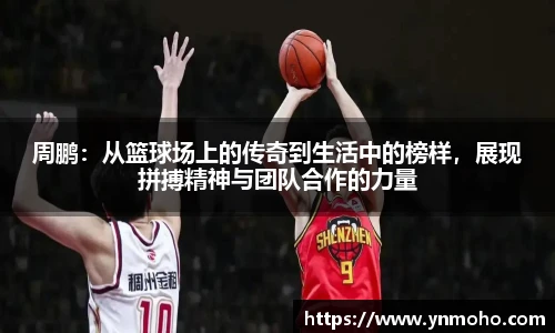 中欧体育官网